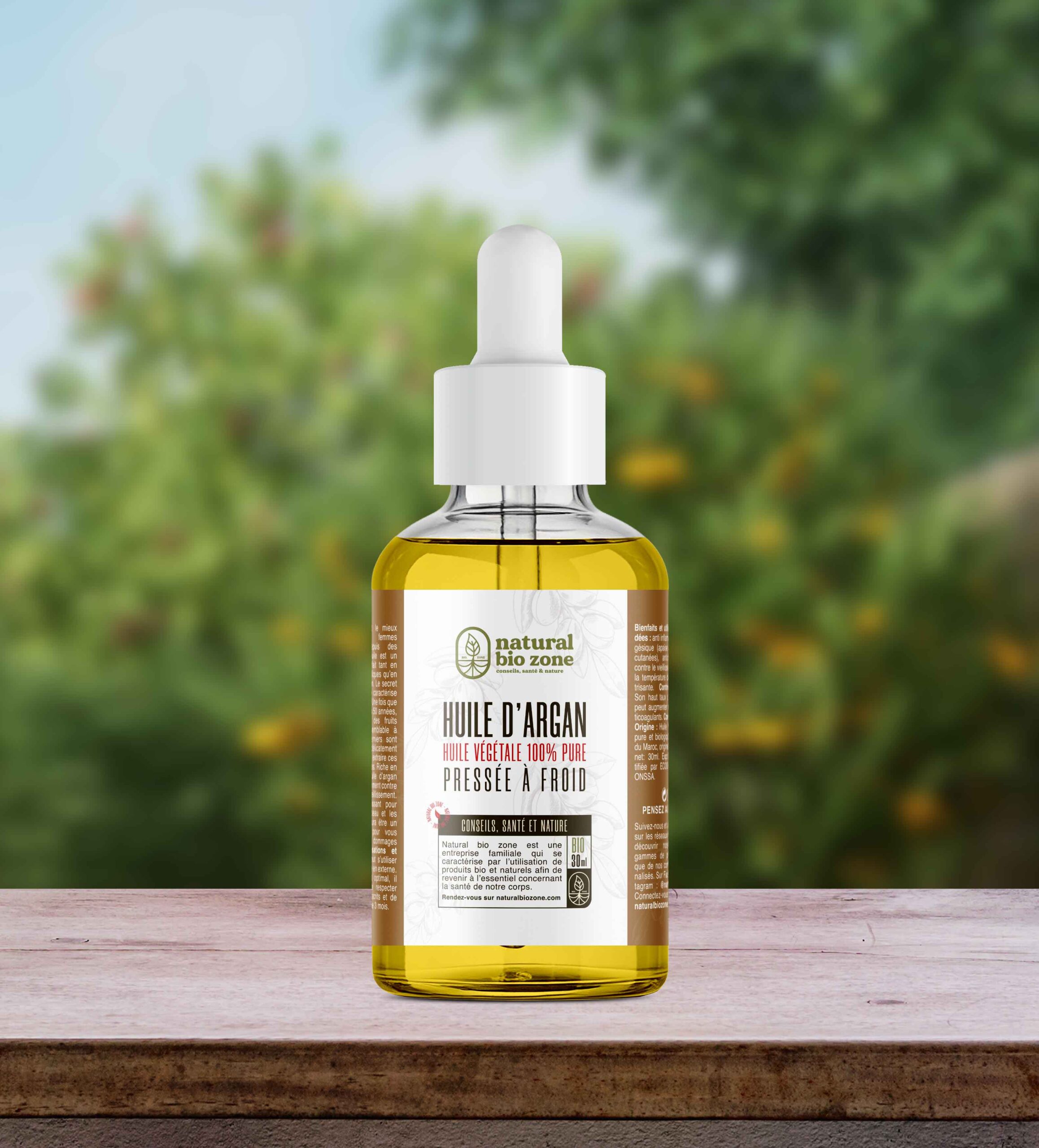 Argan_v2_2026