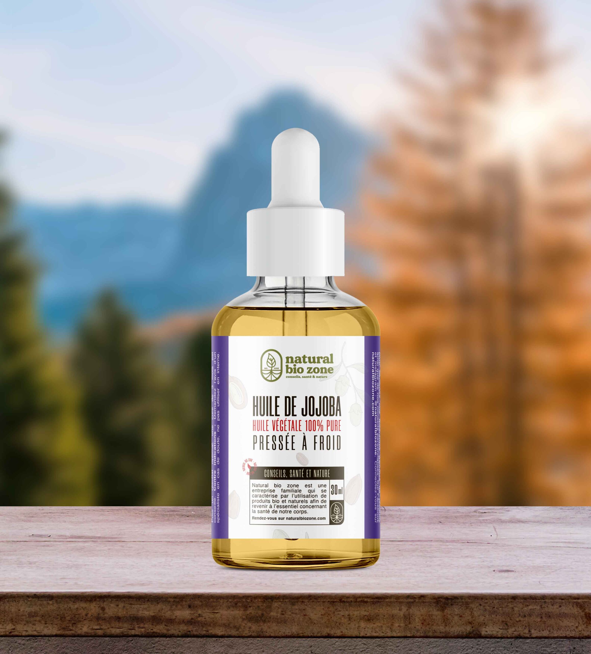 Jojoba_v2_2026